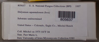 Image Associated With the Occurence